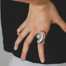 画像をギャラリービューアに読み込む, embryo fluorite