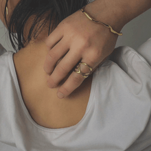 Load image into Gallery viewer, pelican × DANAE "wave"