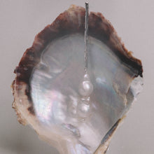 Load image into Gallery viewer, Akoya baroque pearl earrings double

