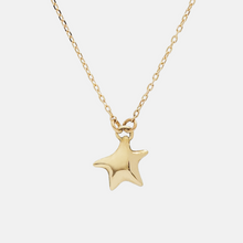画像をギャラリービューアに読み込む, little star necklace
