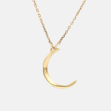 画像をギャラリービューアに読み込む, crescent moon necklace
